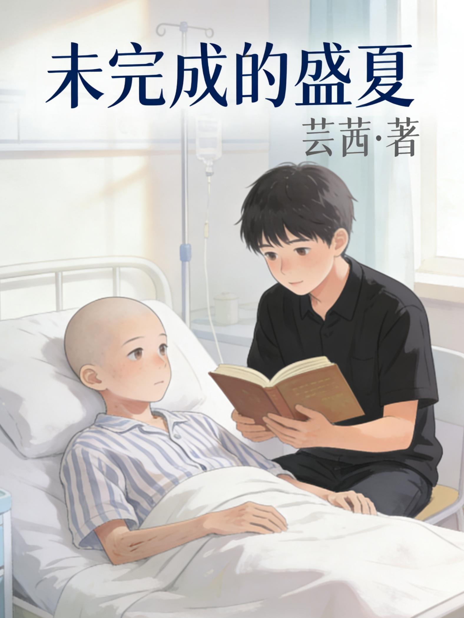 未完成的盛夏